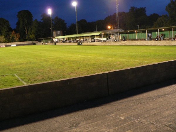 Sân Fetcham Grove